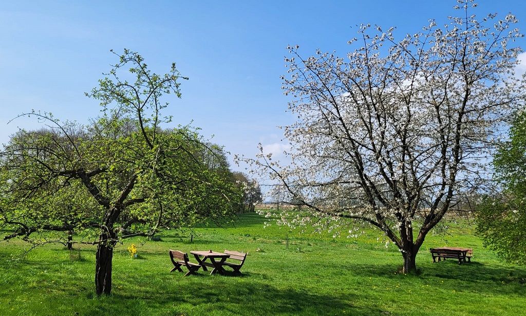 Achterstube Garten