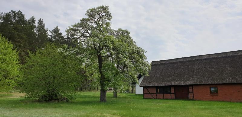 Ansicht vom der Wiese
